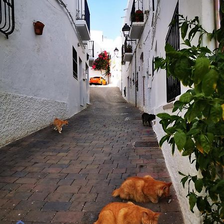 Vida Mia Almeria Вера Экстерьер фото