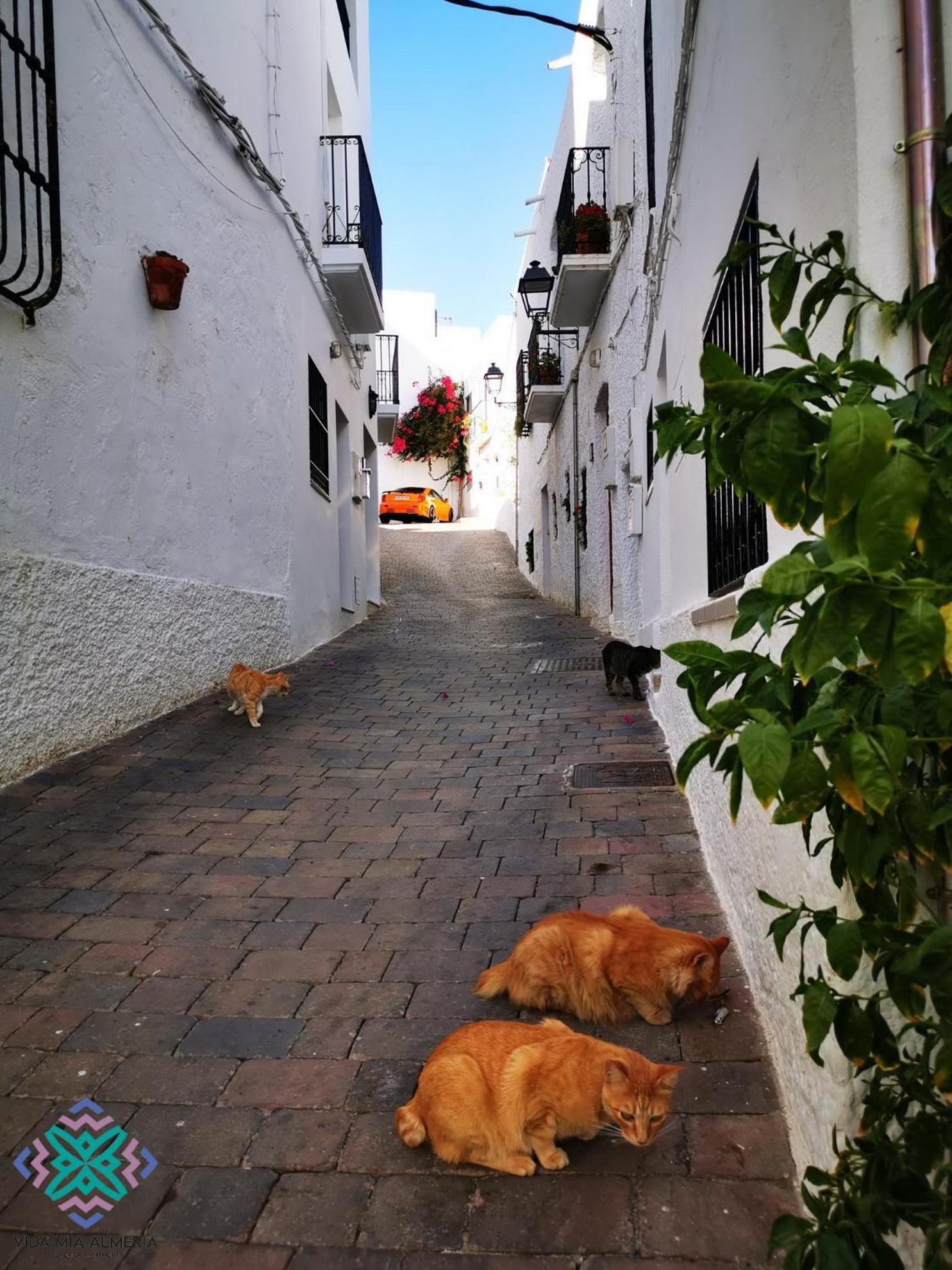 Vida Mia Almeria Вера Экстерьер фото